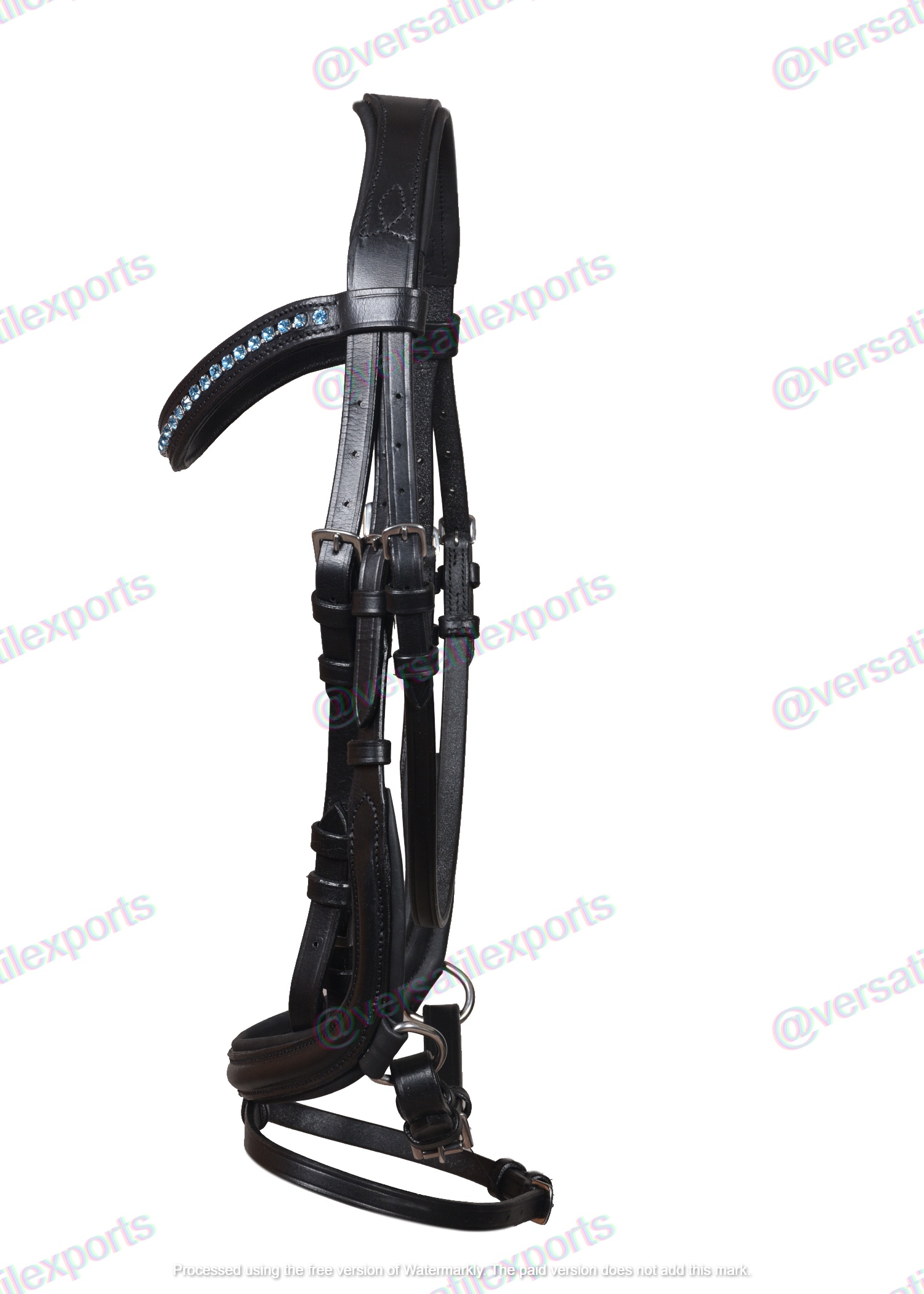 Bridle with Anatomical Design